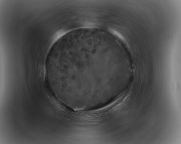 X0000087341267200704201139