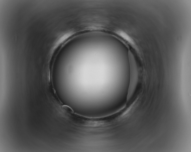 X0000087341269200704201139