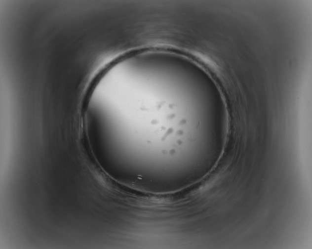 X0000087341271200704201139