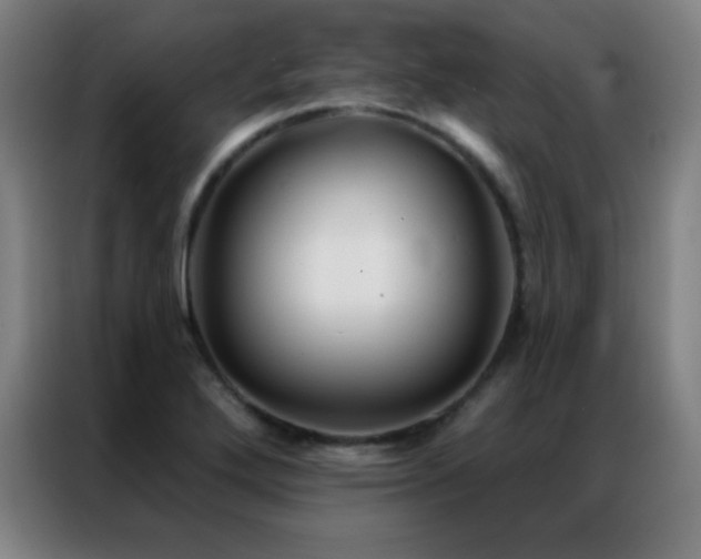 X0000087341272200704201139