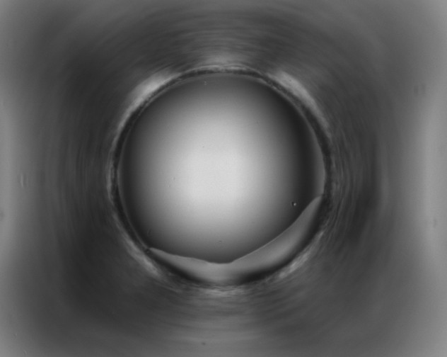X0000087341277200704201139