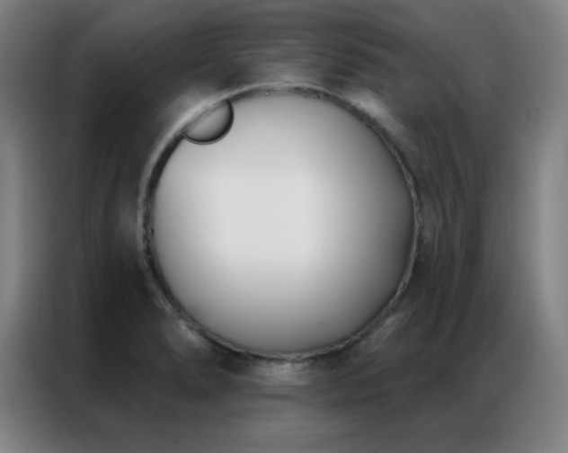 X0000087341278200704201139