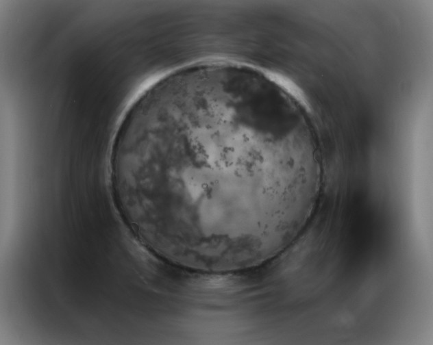 X0000087341279200704201139