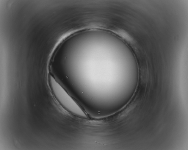 X0000087341280200704201139