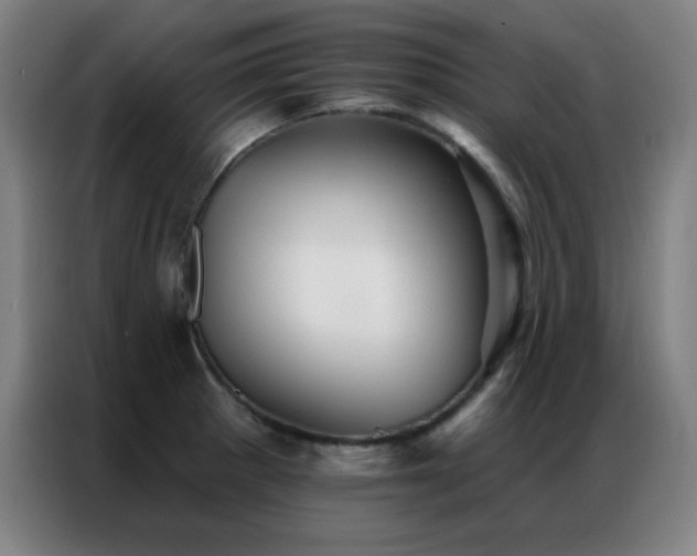 X0000087341281200704201139