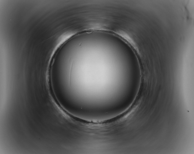 X0000087341285200704201139