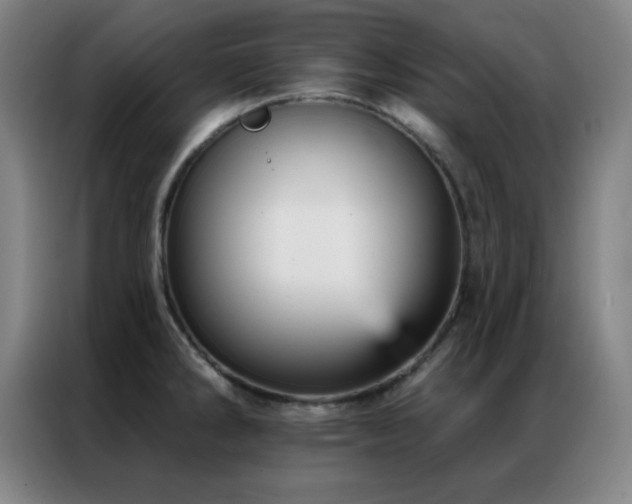 X0000087341286200704201139