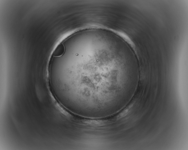 X0000087341287200704201139
