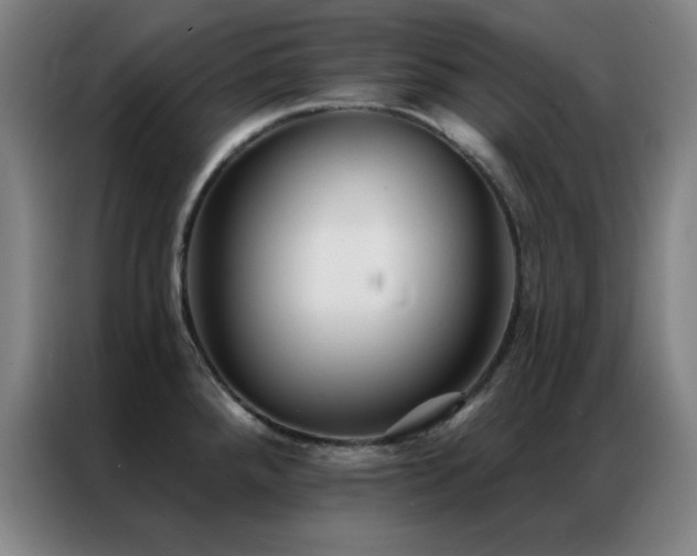 X0000087341288200704201139