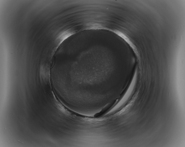 X0000087341289200704201139