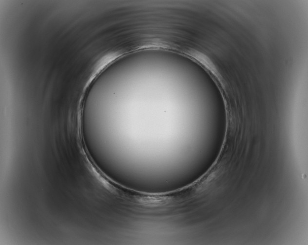 X0000087341290200704201139