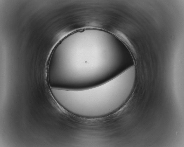 X0000087341292200704201139