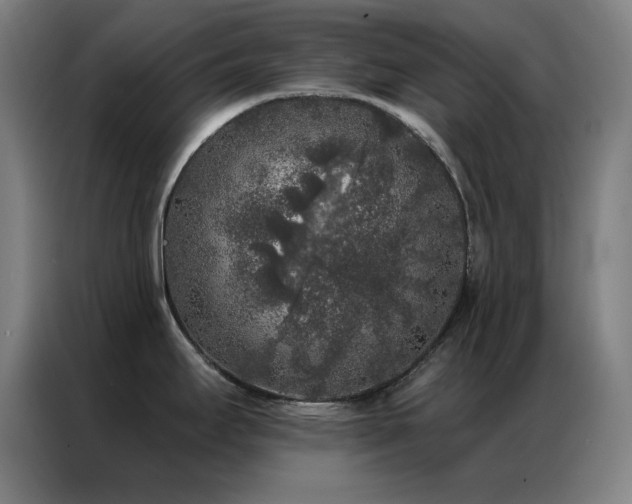 X0000087341295200704201139