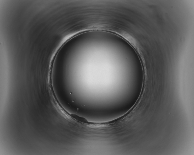 X0000087341296200704201139