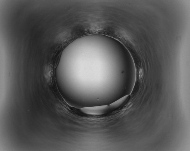 X0000087341299200704201138