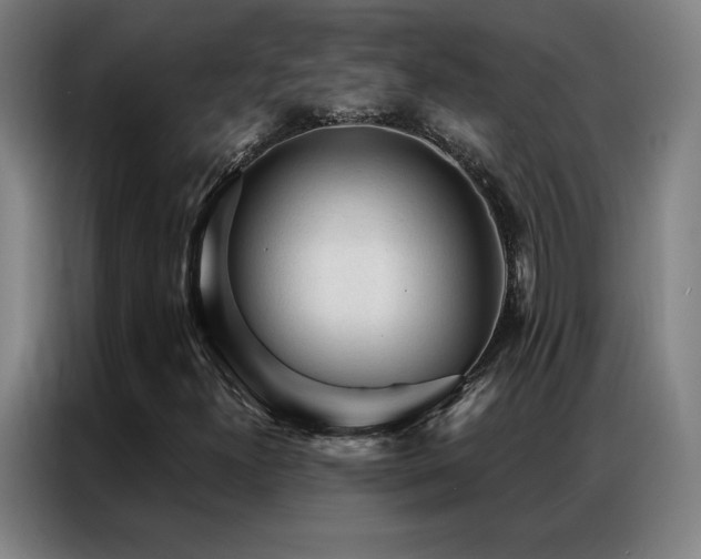 X0000087341300200704201138