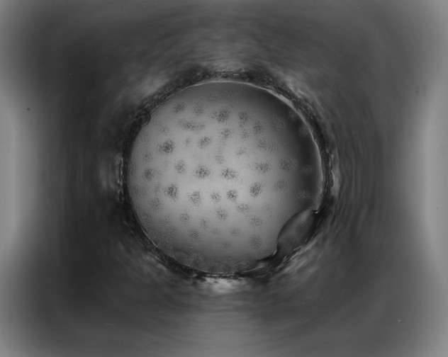X0000087341301200704201138