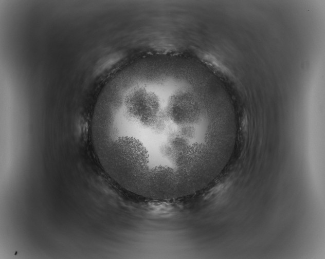 X0000087341302200704201138