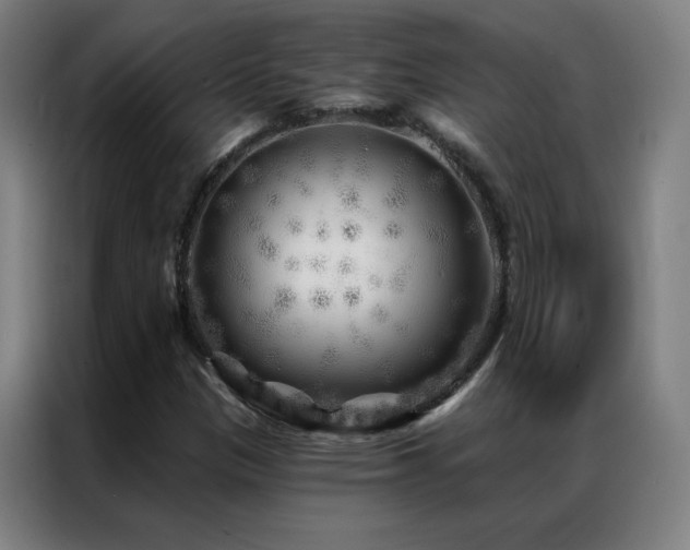 X0000087341305200704201138