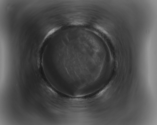 X0000087341306200704201138