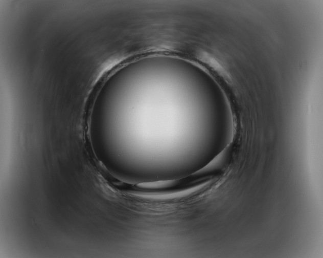 X0000087341308200704201138