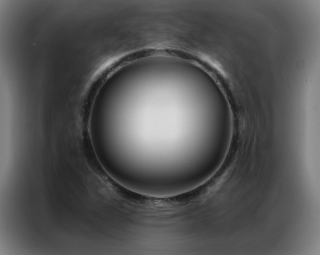 X0000087341311200704201138
