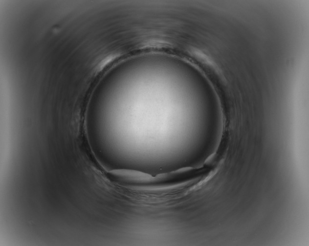 X0000087341313200704201138