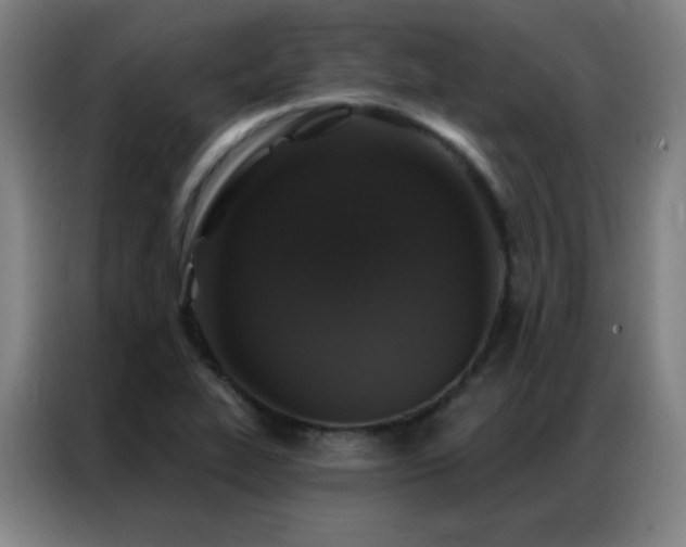 X0000087341319200704201138