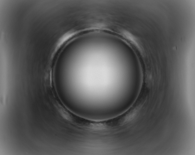 X0000087341320200704201138