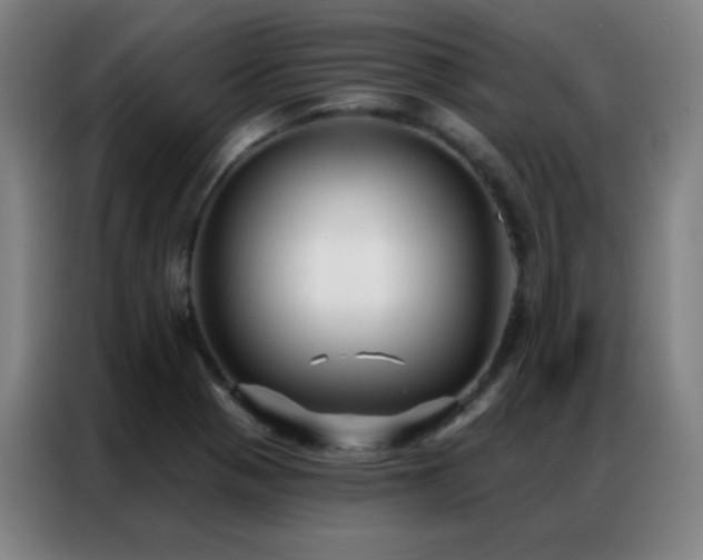 X0000087341321200704201138