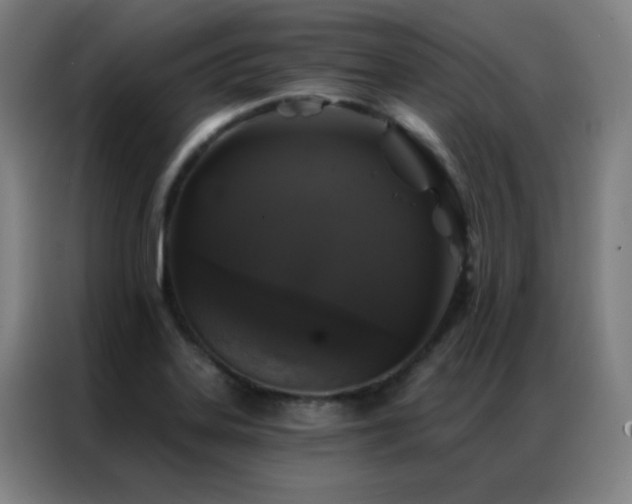 X0000087341323200704201138