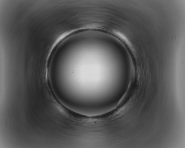 X0000087341324200704201138
