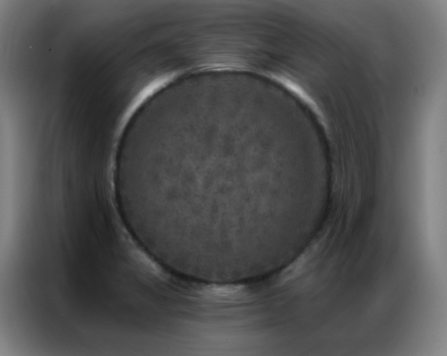 X0000087341325200704201138