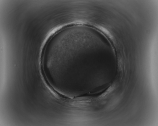 X0000087341327200704201138