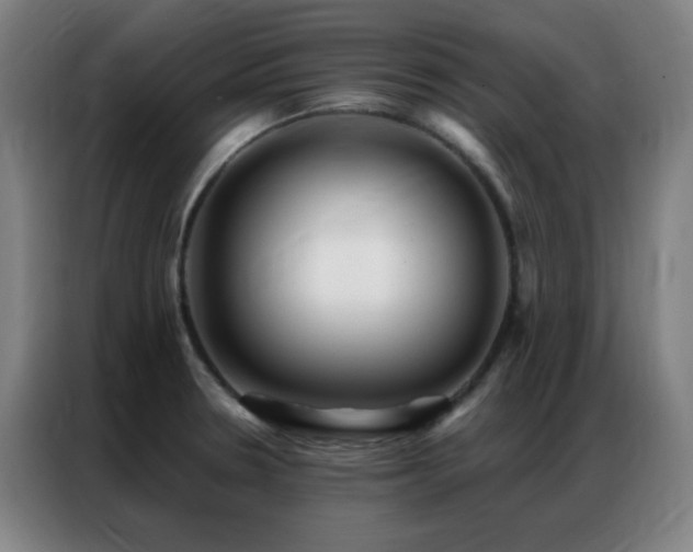 X0000087341330200704201138