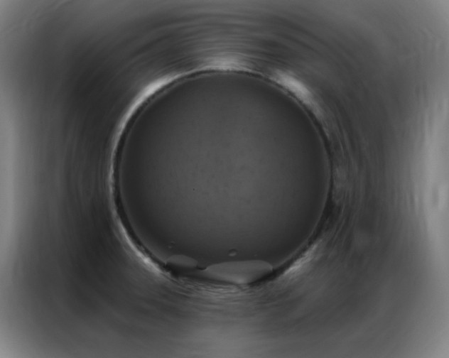 X0000087341331200704201138
