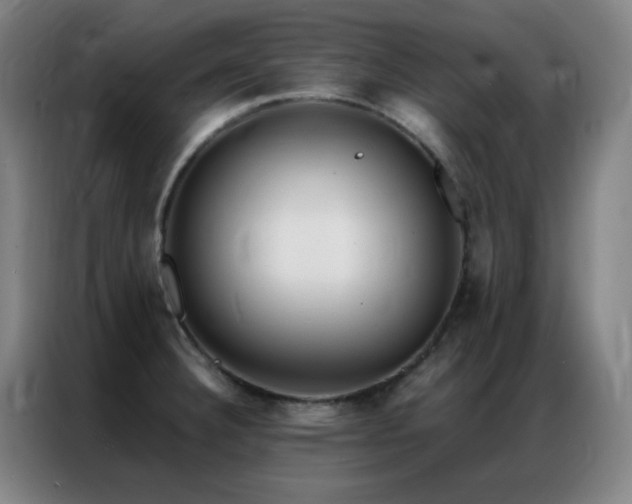 X0000087341332200704201139