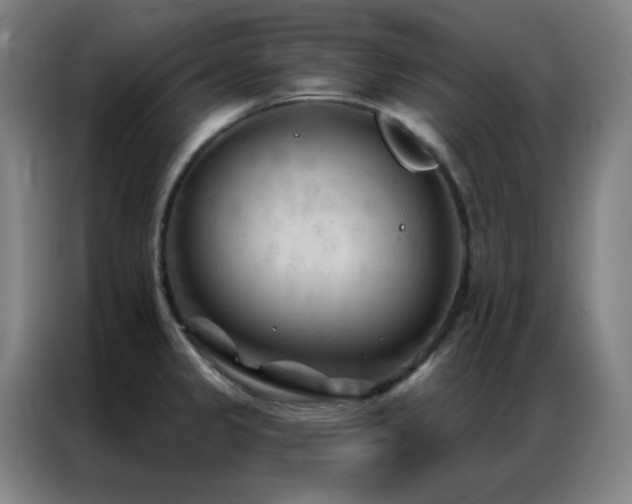 X0000087341333200704201139