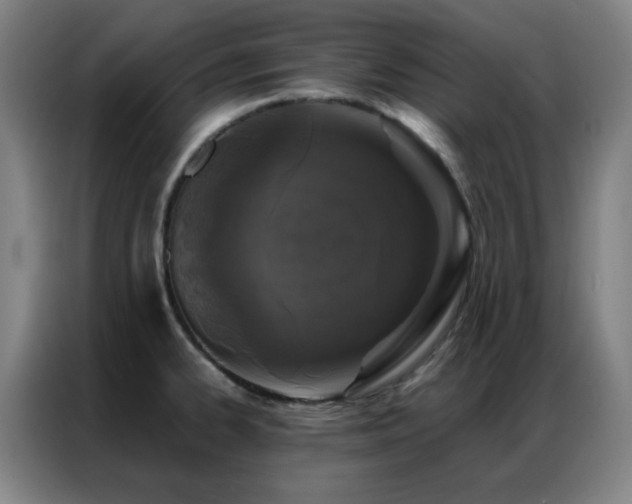 X0000087341334200704201139
