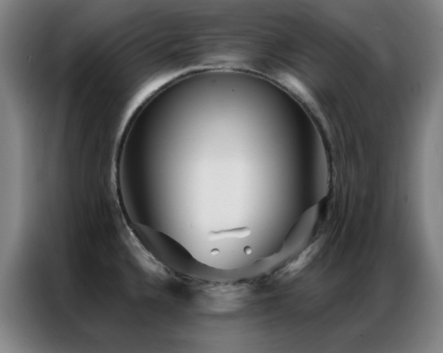 X0000087341336200704201139