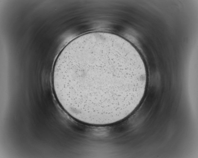 X0000087341338200704201139