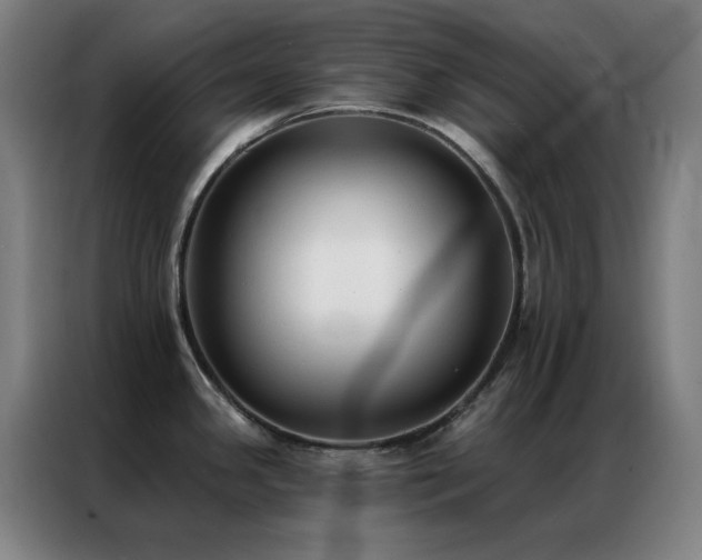 X0000087341341200704201139