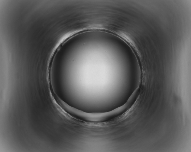 X0000087341342200704201139