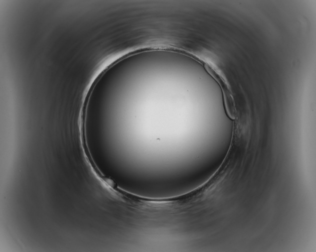 X0000087341343200704201139