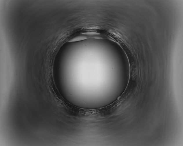 X0000087341345200704201138