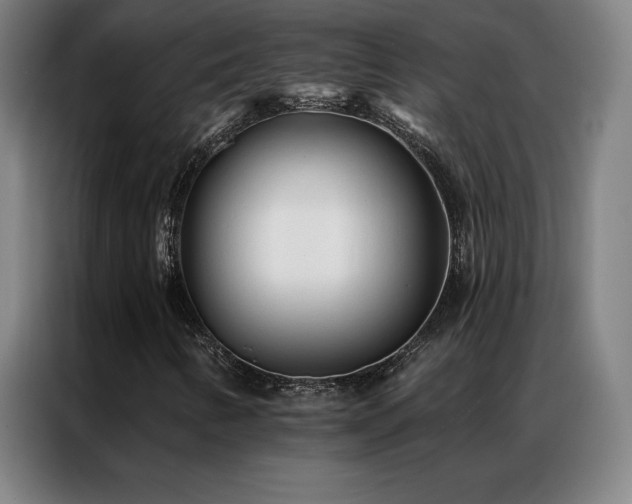 X0000087341346200704201138