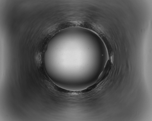 X0000087341347200704201138