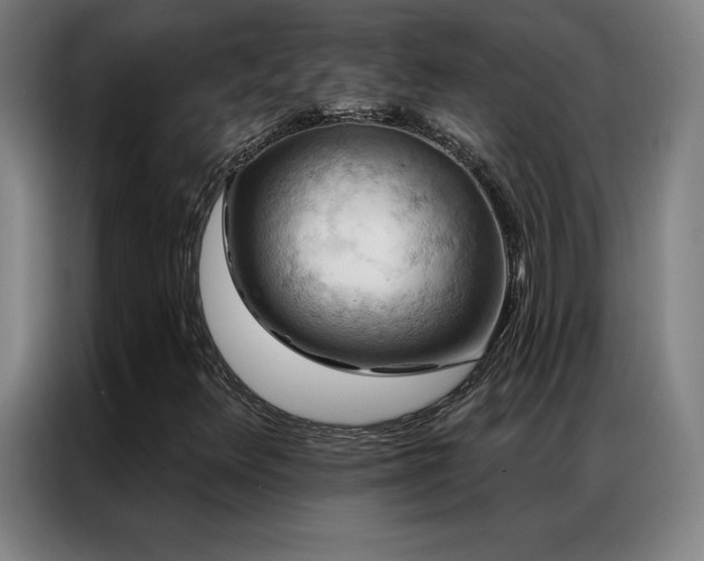 X0000087341348200704201138
