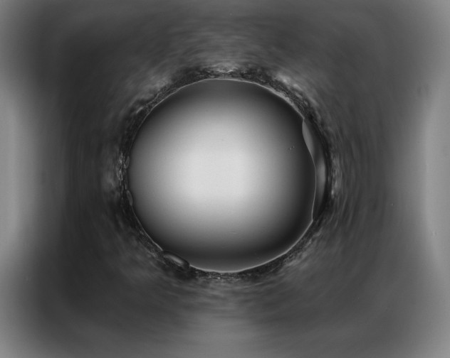 X0000087341349200704201138