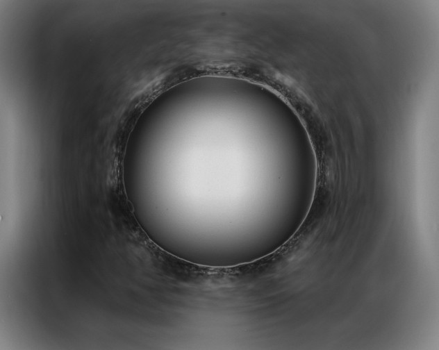 X0000087341350200704201138